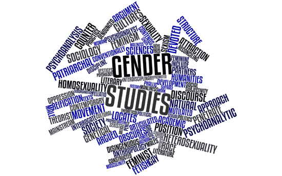 Wortwolke zum Thema „Gender Studies“